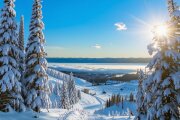 Тамара Кутидзе, Игорь Аравский - День Рождения
