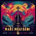 SAINt JHN - Roses Imanbek Remix
