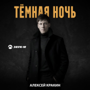 Алексей Кракин - Тёмная ночь