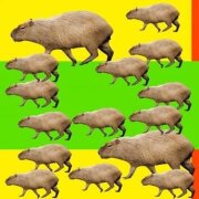 Капибара - Я пушистая как мышка капибара (Тренд из ТикТок)