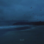 NIGHTVI$ION - Birds