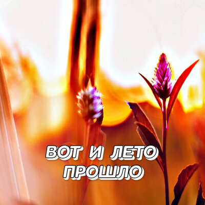Гравитация - Вот и лето прошло